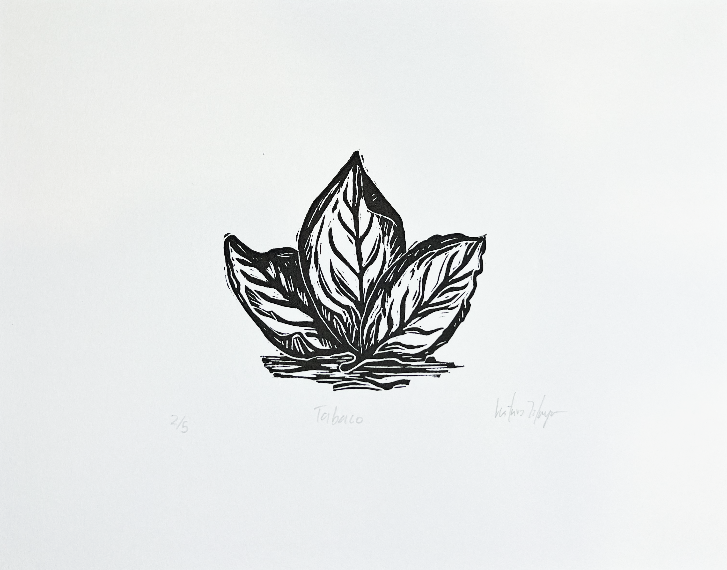 Tabaco