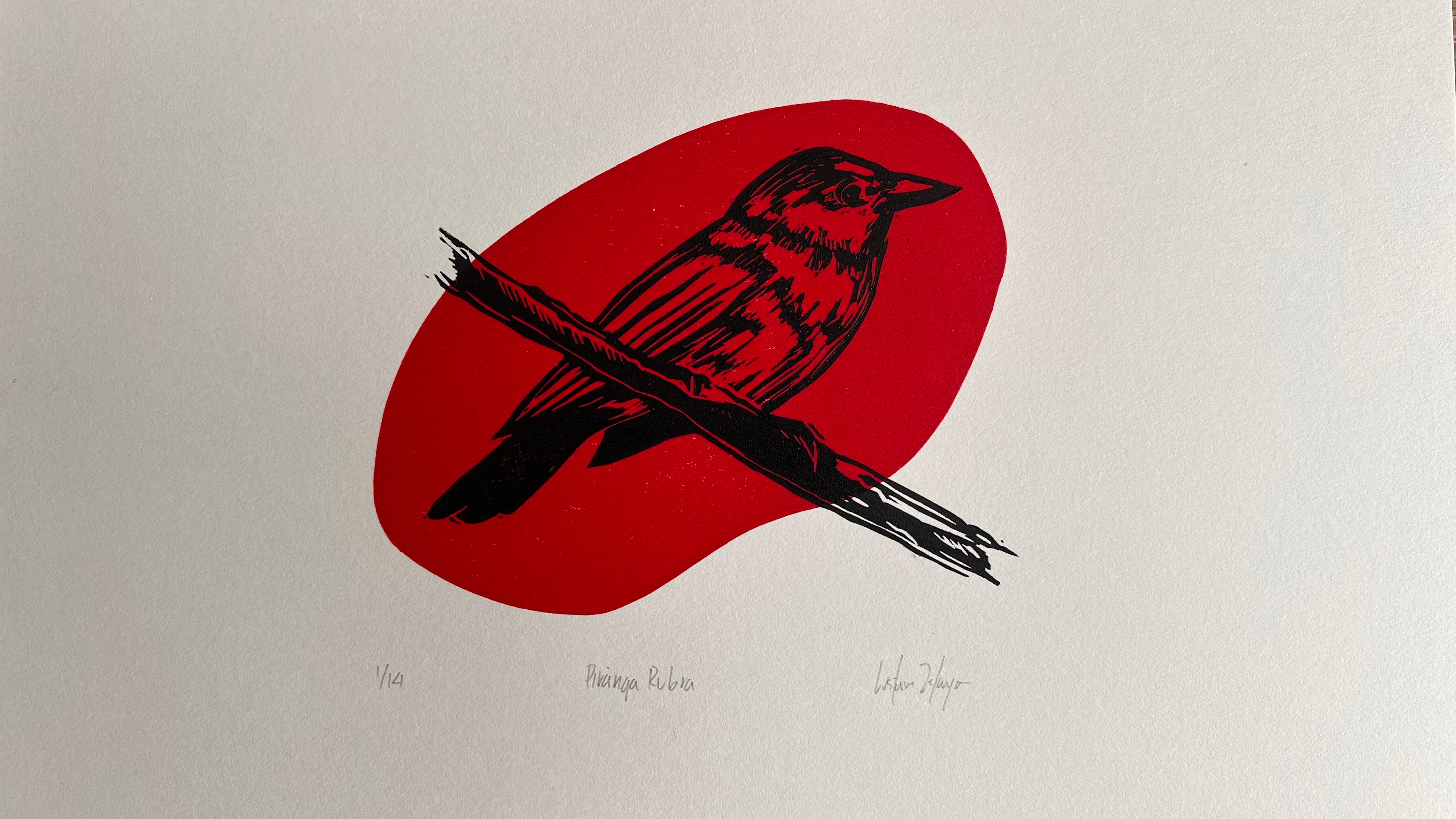 Piranga Rubra