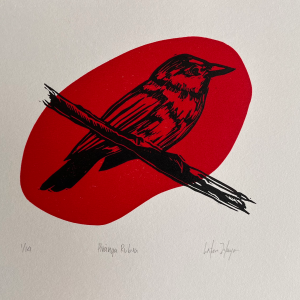 Piranga Rubra
